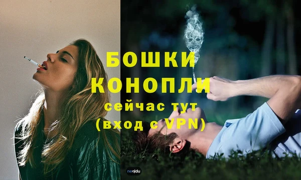 дмт Бронницы