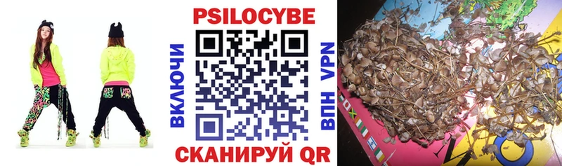 Псилоцибиновые грибы GOLDEN TEACHER  Купить закладки  Болхов 